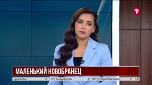 Крошечный чихуахуа стал сотрудником Нацгвардии Мексики