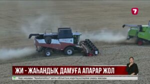 Қазақстанда eGov GPT арқылы көрсетілетін қызмет саны 150-ге дейін артады