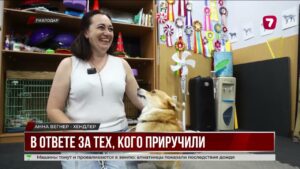 В Павлодаре кинологи и хендлеры учат собак и хозяев лучше понимать друг друга