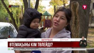 Қарағандыда қатты желден ағаштар құлап, бес көлікті тас-талқан етті