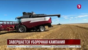 Урожай зерна в Казахстане достиг почти 20 миллионов тонн
