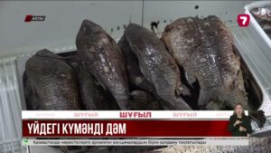 Ақтауда балықтан уланған бала қайтыс болды