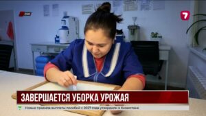 Уборочная кампания на севере Казахстана завершена более чем на 95%