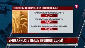 Средняя урожайность в Казахстане выросла до 16,4 центнера с гектара