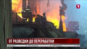 В ВКО будут развивать производство редкоземельных металлов