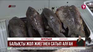 Ақтаулық отбасы ысталған балықты жол бойынан сатып алған