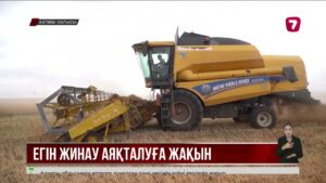 Ақтөбе облысында егін алқаптарының 98 пайызы жиналды