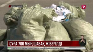 Қапшағай су қоймасы мен Іле өзеніне 700 мың балық шабағы жіберілді