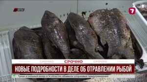 Смерть ребёнка от отравления рыбой в Мангистау: семья купила её с рук