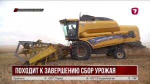 Урожайность пшеницы в Актюбинской области выросла до 14,2 центнера с гектара