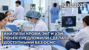 Анализы крови, ЭКГ и УЗИ почек предложили сделать доступными без ОСМС | 12.10.2026 — Дневные новости