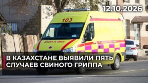 В Казахстане выявили пять случаев свиного гриппа | 12.10.2026