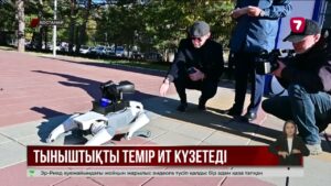 Қостанай полицейлеріне робот-ит көмектеседі