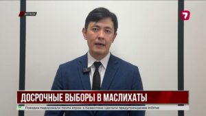 Президент распустил маслихаты всех уровней в Казахстане