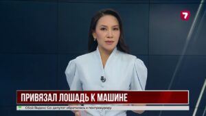 В Шымкенте мужчина привязал лошадь к автомобилю