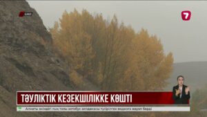 ШҚО-да қар мен көктайғаққа дайындық басталды