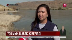Қапшағай су қоймасы мен Іле өзеніне 700 мың тұқы шабағы жіберілді