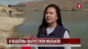 «Таза Қазақстан»: в водоёмы выпустили сотни тысяч мальков