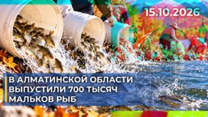 В Алматинской области выпустили 700 тысяч мальков рыб | 15.10.2026 — Дневные новости