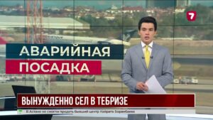 Самолёт из Тегерана в Стамбул экстренно сел в Иране