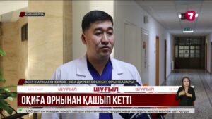 Қызылордада сәби мен анасын көлікпен қағып кеткен жүргізуші іздестіріліп жатыр