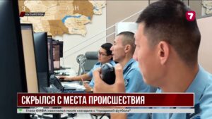 В Кызылорде ищут водителя, сбившего женщину с младенцем