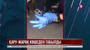 Алматыда көшеден қару-жарақ қоймасы табылды