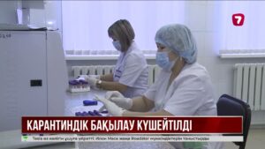 Ресейде маймыл шешегіне күдікпен бір азамат ауруханаға жатқызылған