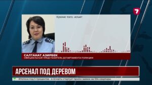 В Алматы рядом с жилыми домами обнаружили тайник с оружием и гранатами