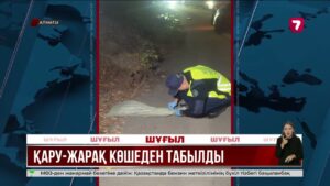 Алматыда тұрғын үйлердің іргесінен қару-жарақ қоймасы табылды