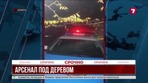 Арсенал оружия обнаружили рядом с жилыми домами в Медеуском районе Алматы