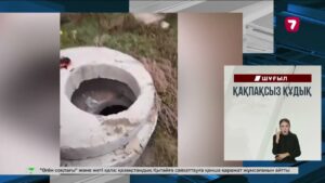 Жүргізуші куәлігі жоқ 18 жастағы жігіт адамдарды қағып кете жаздады