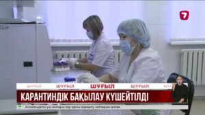 Ресейде маймыл шешегін жұқтырған бес науқас тіркелді