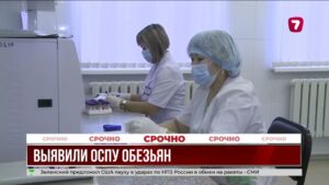 Оспа обезьян в России: Казахстан усилил санитарный контроль на границе