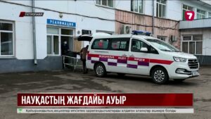 СҚО-да белгісіз тұнба ішіп, уланған науқас комада жатыр