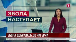 В Нигерии впервые выявили случай заражения лихорадкой Эбола
