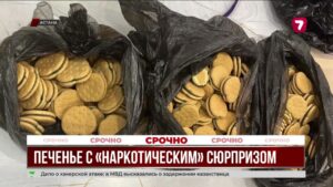 Наркоторговля под видом десертов: в Астане изъяли 238 печений