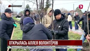 В Петропавловске открыли «Аллею волонтёров» в память о помощи во время паводка