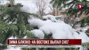 Первый снег в ВКО: трассы открыли, водителей призывают сменить резину