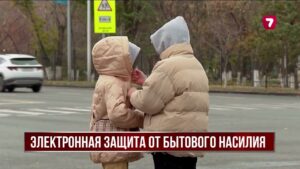 Партия «Әділет» предлагает новую систему профилактики семейного насилия