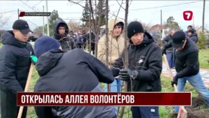 На месте разрушенных паводком домов в Петропавловске открыли «Аллею волонтёров»
