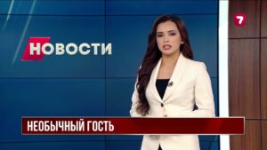 Редкую росомаху засняли фотоловушки в Маркакольском заповеднике