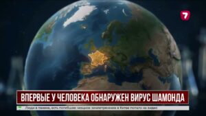 Во Франции впервые выявили заражение человека вирусом Шамонда