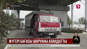 Жүгерінің келісі 90 теңге: шаруалар өнім бағасына наразы