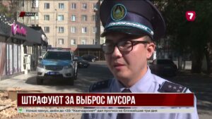 В Жамбылской области выписали штрафы на 24 миллиона тенге за мусор