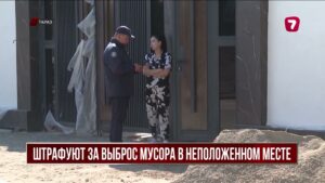 В Жамбылской области за мусор оштрафовали тысячи жителей