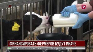 Касым-Жомарт Токаев поручил расширить долгосрочное финансирование фермеров
