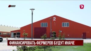 Глубокая переработка и новые фермы: как будут развивать агросектор Казахстана